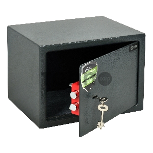 Сейф мебельный Cactus CS-SF-K25 250x350x250мм ключевой Сейф мебельный Cactus CS-SF-K25 250x350x250мм ключевой