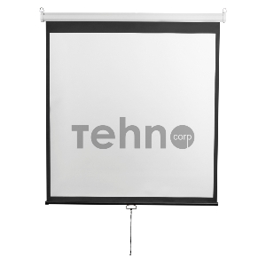 Экран 200x200см Digis Optimal-D DSOD-1105 1:1 настенно-потолочный рулонный Экран 200x200см Digis Optimal-D DSOD-1105 1:1 настенно-потолочный рулонный