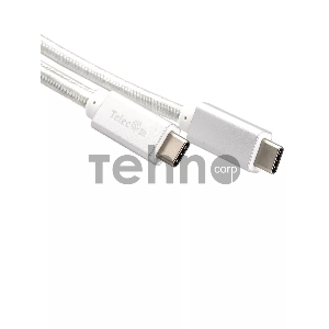 Кабель USB 3.1 Type Cm -- Cm IC 5А 10Gbs длина 1M, Telecom <TC420S> серебряный