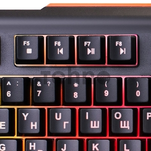 Клавиатура Oklick 717G черный/серый USB Multimedia LED