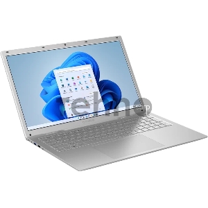 Ноутбук IRBIS 17NBC2002 17 CPU: i3-1005G1, 17LCD 1920*1200 IPS , 8+256GB SSD, Front, AC wifi, camera: 2MP, 5000mha battery,  ABCD cover with normal oil painting, with backlight keyboard, M.2*1 open
