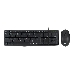 Клавиатура + мышь Acer OMW141 клав:черный мышь:черный USB, фото 1
