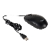 Клавиатура + мышь Acer OMW141 клав:черный мышь:черный USB, фото 7