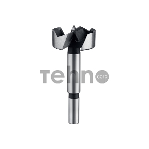 Сверло Зубр Форстнера по дереву, Мастер d=40мм 2993-40_z01