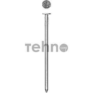 Гвозди с большой потайной головкой, оцинкованные, 60 х 3.0 мм, 5 кг, ЗУБР