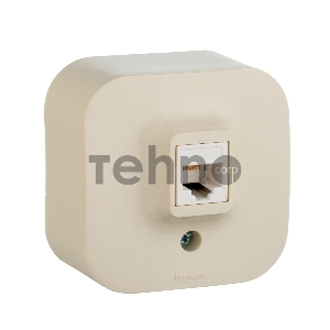 Электроустановочные изделия Legrand Legrand 782244 Розетка RJ11 (Слоновая кость) Электроустановочные изделия Legrand Legrand 782244 Розетка RJ11 (Слоновая кость)