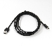 Кабель-адаптер USB 3.1 Type-Cm --> USB 3.0 Am, 2м VCOM <CU401-2M> Кабель-адаптер USB 3.1 Type-Cm --> USB 3.0 Am, 2м VCOM <CU401-2M>, фото 1