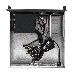 Серверный корпус ExeGate Pro 2U450-03 <RM 19