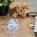 Гирлянда «Роса» 5 м, 50 LED, USB, белое свечение NEON-NIGHT, фото 3