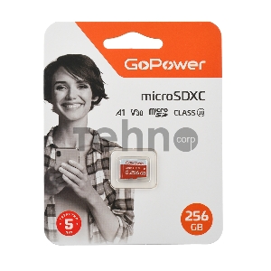 Карта памяти microSD GoPower 256GB Class10 UHS-I (U3) 100 МБ/сек V30 без адаптера