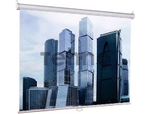 Настенный экран Lumien Eco Picture 127х200см (рабочая область 121х194 см) Matte White восьмигранный корпус, возможность потолочн./настенного крепления, уровень в комплекте, 16:10 (треугольная упаковка)
