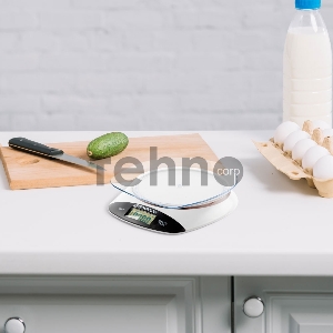 Кухонные весы Endever Chief-533