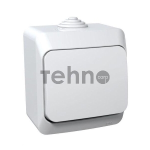 Выключатель 10 АХ, БЕЛЫЙ, Россия ЭТЮД IP44 О/У 1-клавишный