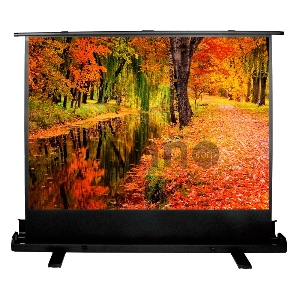 Экран Cactus 150x200см FloorExpert CS-PSFLE-200X150 4:3 напольный рулонный Экран Cactus 150x200см FloorExpert CS-PSFLE-200X150 4:3 напольный рулонный