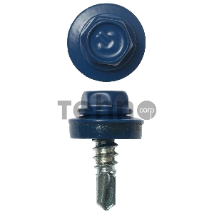 Саморезы СКМ кровельные, RAL 5005 синий насыщенный, для металлических конструкций, 19 х 5.5 мм, 2 500 шт, ЗУБР Профессионал