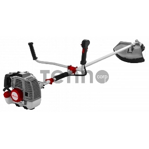 Бензиновый триммер Ресанта БТР-2900П 70/2/44