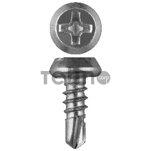 Зубр Саморезы со сверлом, оцинкованные, по листовому металлу до 2мм, п/цилиндр, PH2, 3,8x11мм, ТФ1, 1000шт 4-300151-38-11