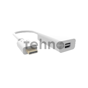 Адаптер Buro BHP RET TPC_MDP USB Type-C (m) miniDisplayPort (f) белый Адаптер Buro BHP RET TPC_MDP USB Type-C (m) miniDisplayPort (f) белый