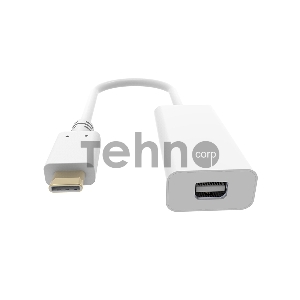 Адаптер Buro BHP RET TPC_MDP USB Type-C (m) miniDisplayPort (f) белый