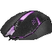 Мышь DEFENDER USB OPTICAL HIT MB-550 BLACK 52550, фото 2