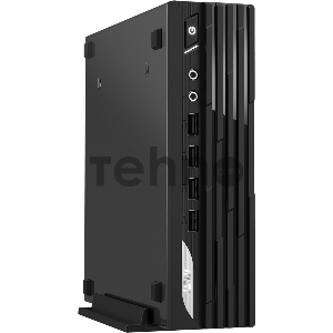 Неттоп MSI Pro DP21 13M-603XRU i5 13400/16Gb/1Tb/SSD256Gb UHDG 770/noOS/черный