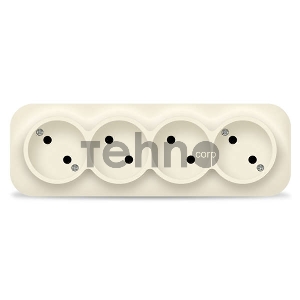 Розетка 4-м ОП 10А IP20 без заземл. сл. кость IONICH 1451