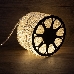 Дюралайт LED, постоянное свечение (2W) - ТЕПЛЫЙ БЕЛЫЙ, 24 LED/м Ø10мм, бухта 100м, фото 1
