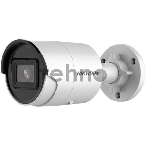 Видеокамера IP Hikvision DS-2CD2043G2-IU 2.8-2.8мм цветная
