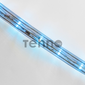 Дюралайт LED, постоянное свечение (2W) - синий, 24 LED/м, Ø10мм, бухта 100м