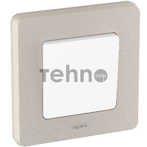 Inspiria Рамка 1 пост шампань