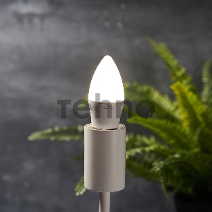 Лампа светодиодная Свеча (CN) 9,5 Вт E27 903 лм 4000 K нейтральный свет REXANT