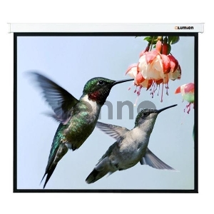 Экран Lumien 280x202см Master Picture LMP-100117 16:9 настенно-потолочный рулонный