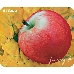 Коврик Defender Juicy sticker, "Фрукты" (ассорти) 220х180х0.4мм, фото 4