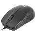 Мышь DEFENDER Optimum MB-160 черный, 3 кнопки, 1000 dpi, каб - 1,5м (52160), фото 1