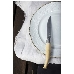 Набор ножей кухон. Opinel Table Chic №10 (001828) компл.:4шт дерево подар.коробка, фото 2