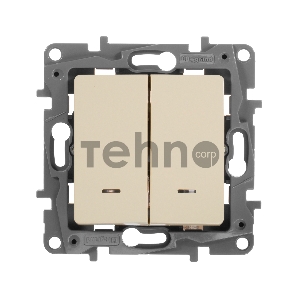 Выключатель 2-клавишный с подсветкой, на винтах, 10АХ, сл. кость
