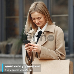 Умная мини Wi-Fi розетка TP-Link Tapo P110(2-pack), 2 шт.