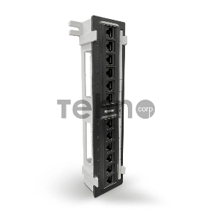Монтажное оборудование Hyperline PPW-12-8P8C-C5e Патч-панель настенная, 12 портов RJ-45(8P8C), категория 5е, с подставкой