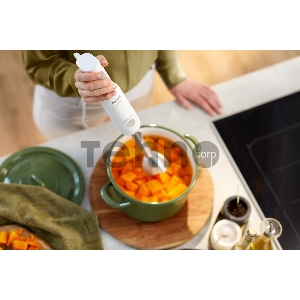 Блендер погружной Philips HR2545/00 белый