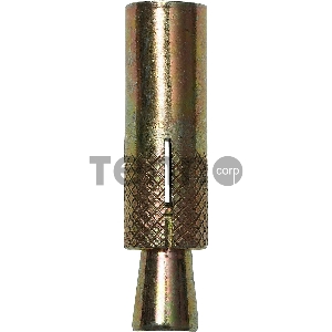 Анкер с клином, 10х40мм, 2шт, желтопассивированный, ЗУБР