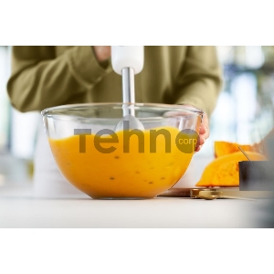 Блендер погружной Philips HR2545/00 белый