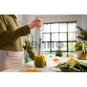 Блендер погружной Philips HR2545/00 белый