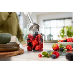 Блендер погружной Philips HR2545/00 белый