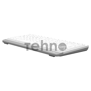 Клавиатура A4Tech Fstyler FKS11 белый/серый USB