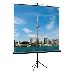 Экран на треноге Lumien 160x160см Eco View LEV-100105 1:1 напольный рулонный, фото 3