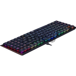 Клавиатура USB DRAGONWARRIOR RGB REDRAGON 70520 DEFENDER