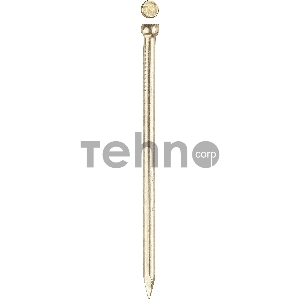 Гвозди финишные, с латунным покрытием, 40 х 1.8 мм, 5 кг, ЗУБР