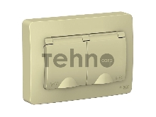 Розетка 2-м СП BLANCA 16А 250В с защ. крышкой защ. шторки с заземл. IP44 беж. SchE BLNRS441127