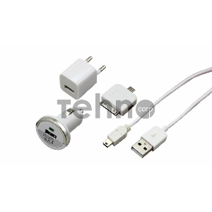 Комплект СЗУ, АЗУ, кабель miniUSB-USB, переходник microUSB 30 pin белый