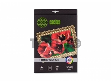 Холст Cactus CS-CA426010 A4/260г/м2/10л. для струйной печати